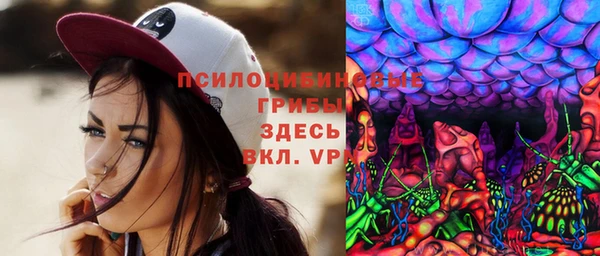 твердый Рославль