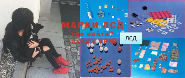 мяу мяу мука Алзамай