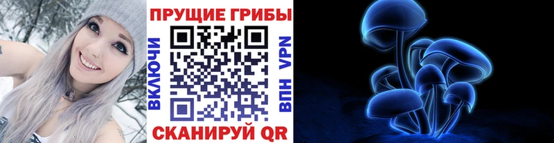 Галлюциногенные грибы Cubensis  как найти   Лагань 